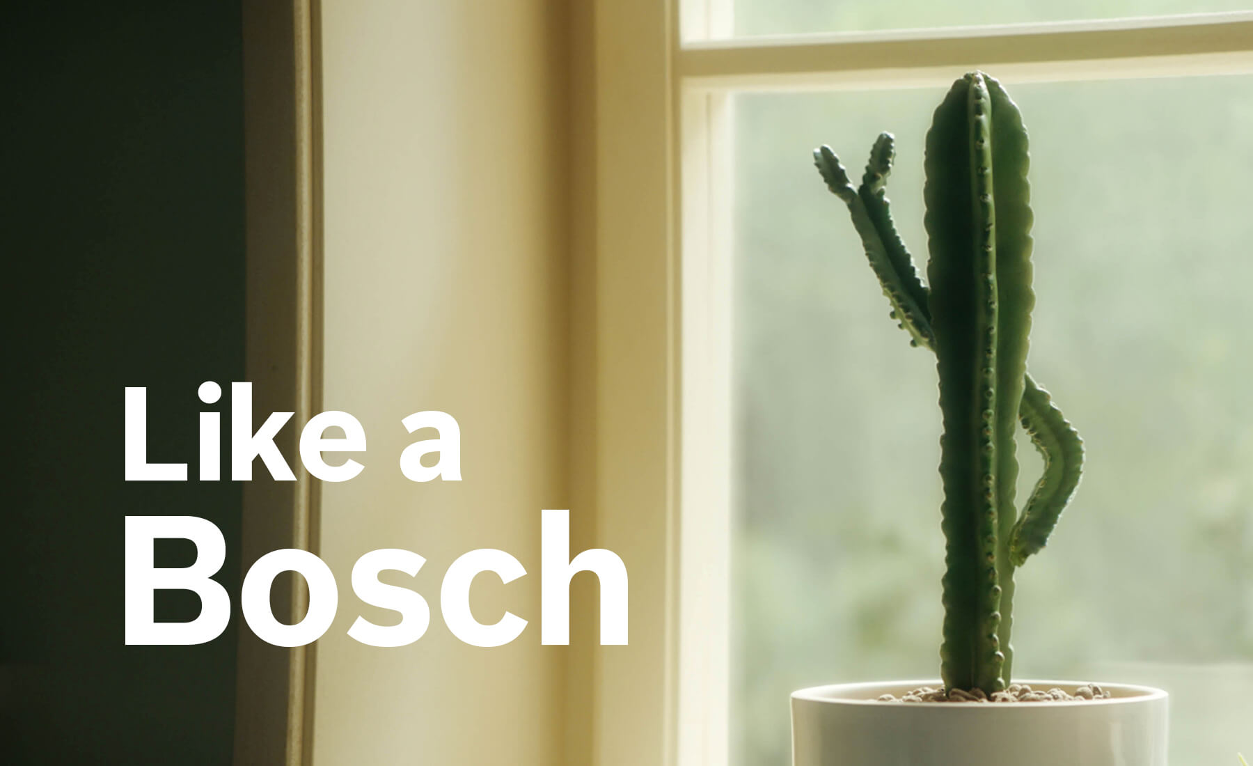 Bosch Launch Campaign